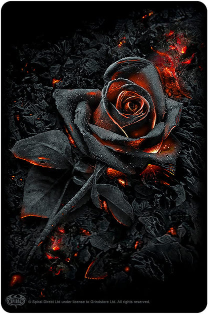 Spiral - BURNT ROSE (White Metal Cards) One Size