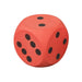 Uncoated Foam Dice Red Red