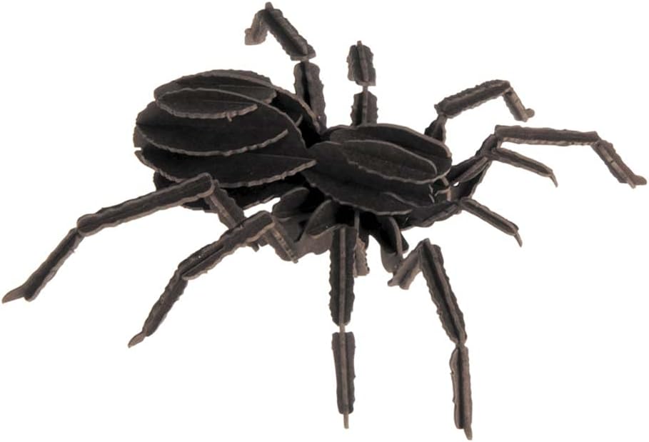 FRIDOLIN 3D Papier Model - Tarantula