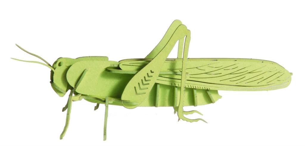 Fridolin 3D Papiermodell Heuschrecke