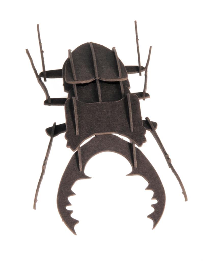 3D Paper Model Beetle