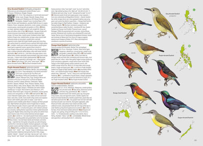 Birds of the Philippines