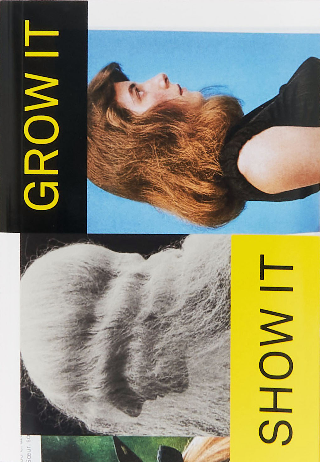 Grow It, Show It!: Haare im Blick von Diane Arbus bis TikTok