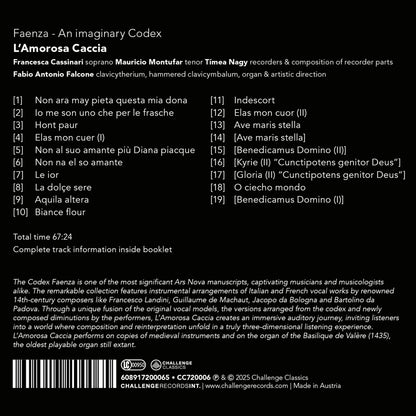 Faenza: An Imaginary Codex