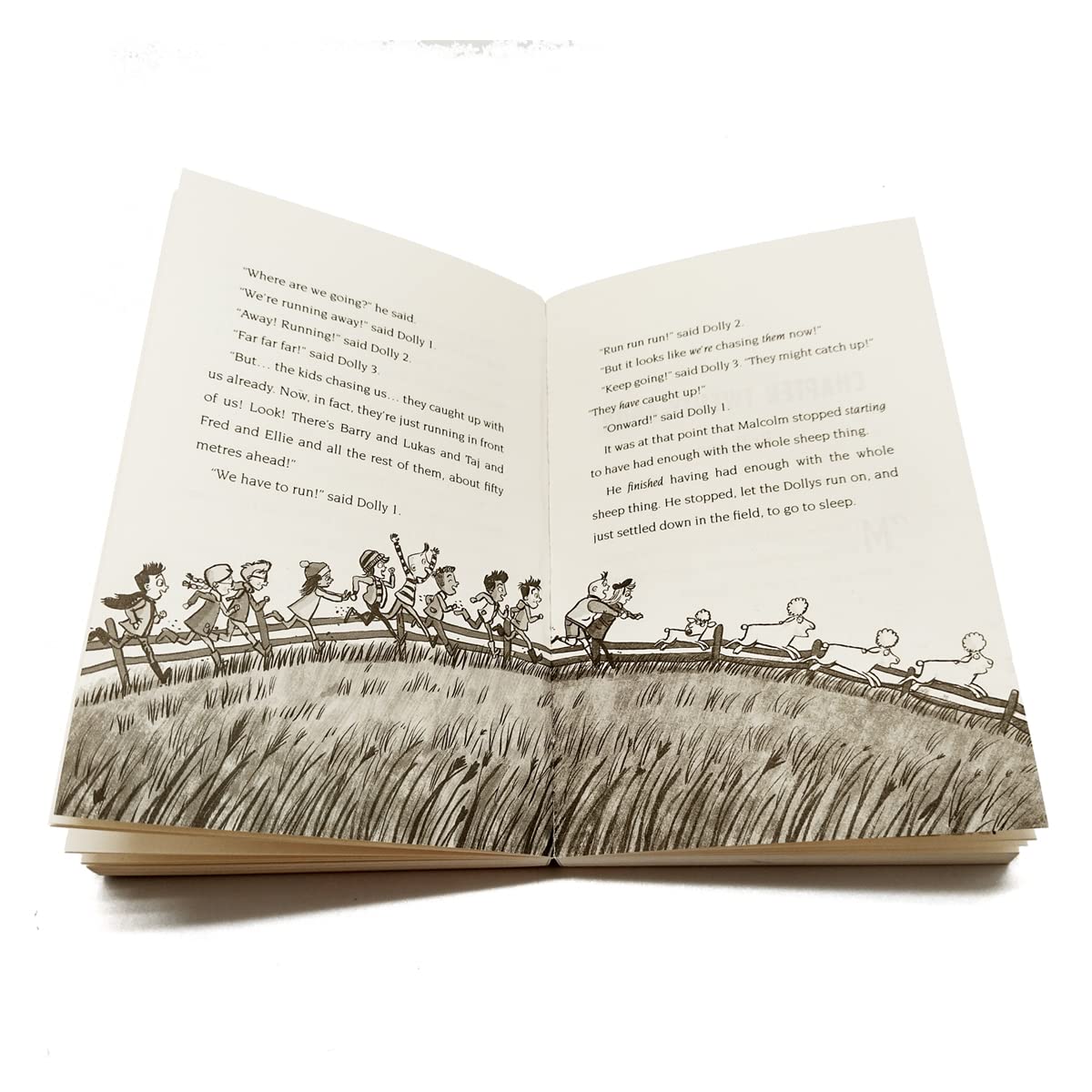 David Baddiel: 4 Book Collection