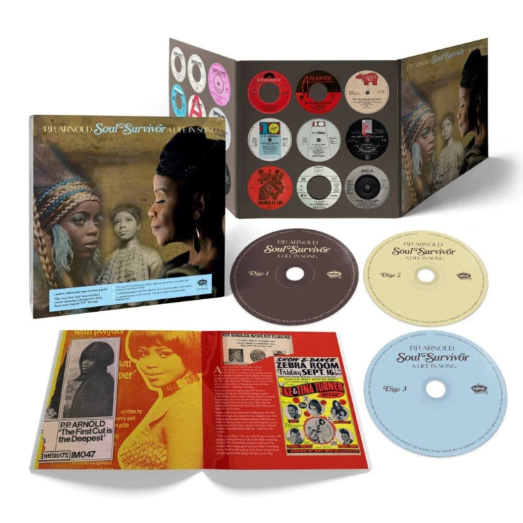 Soul Survivor: A Life in Song