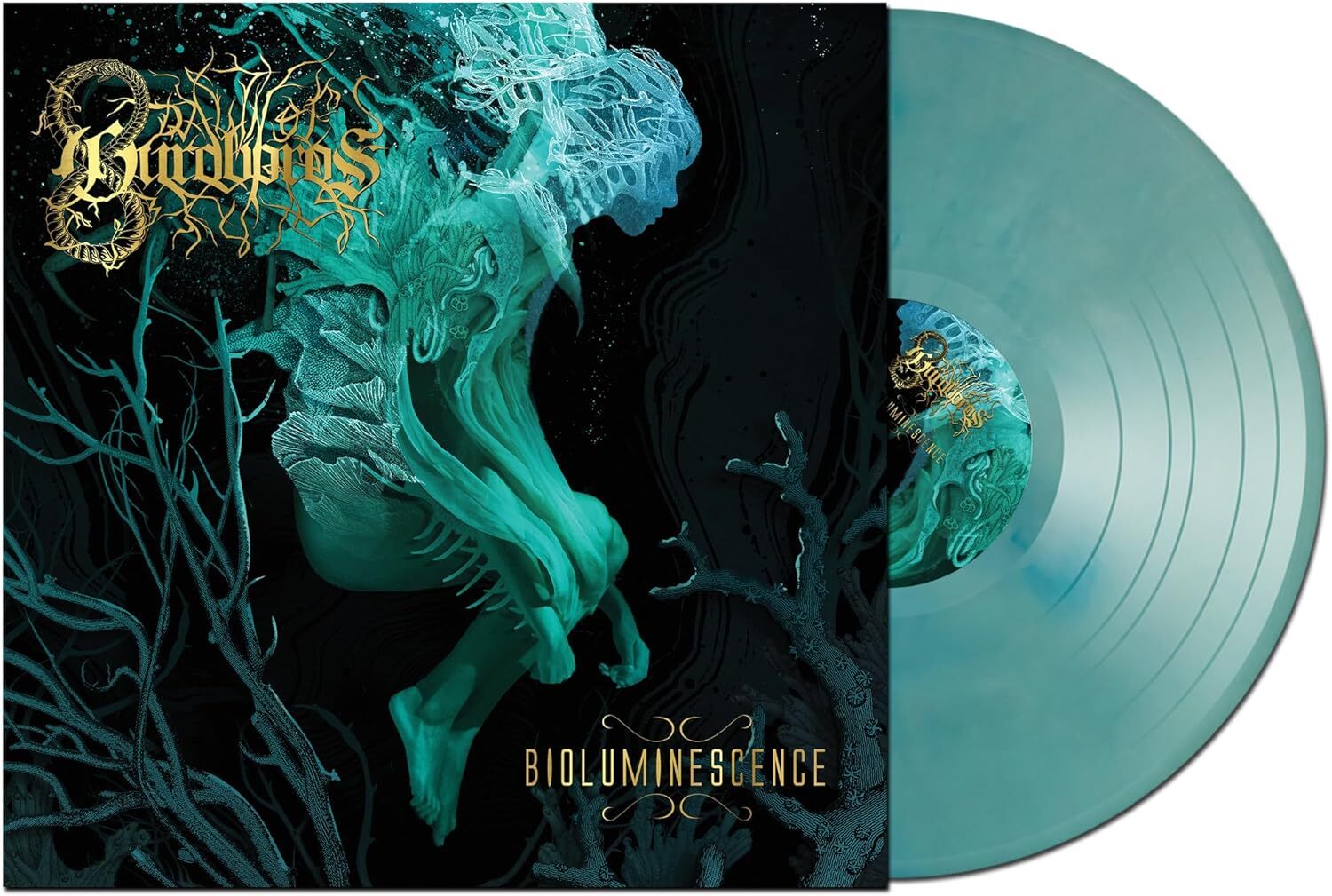 Bioluminescence