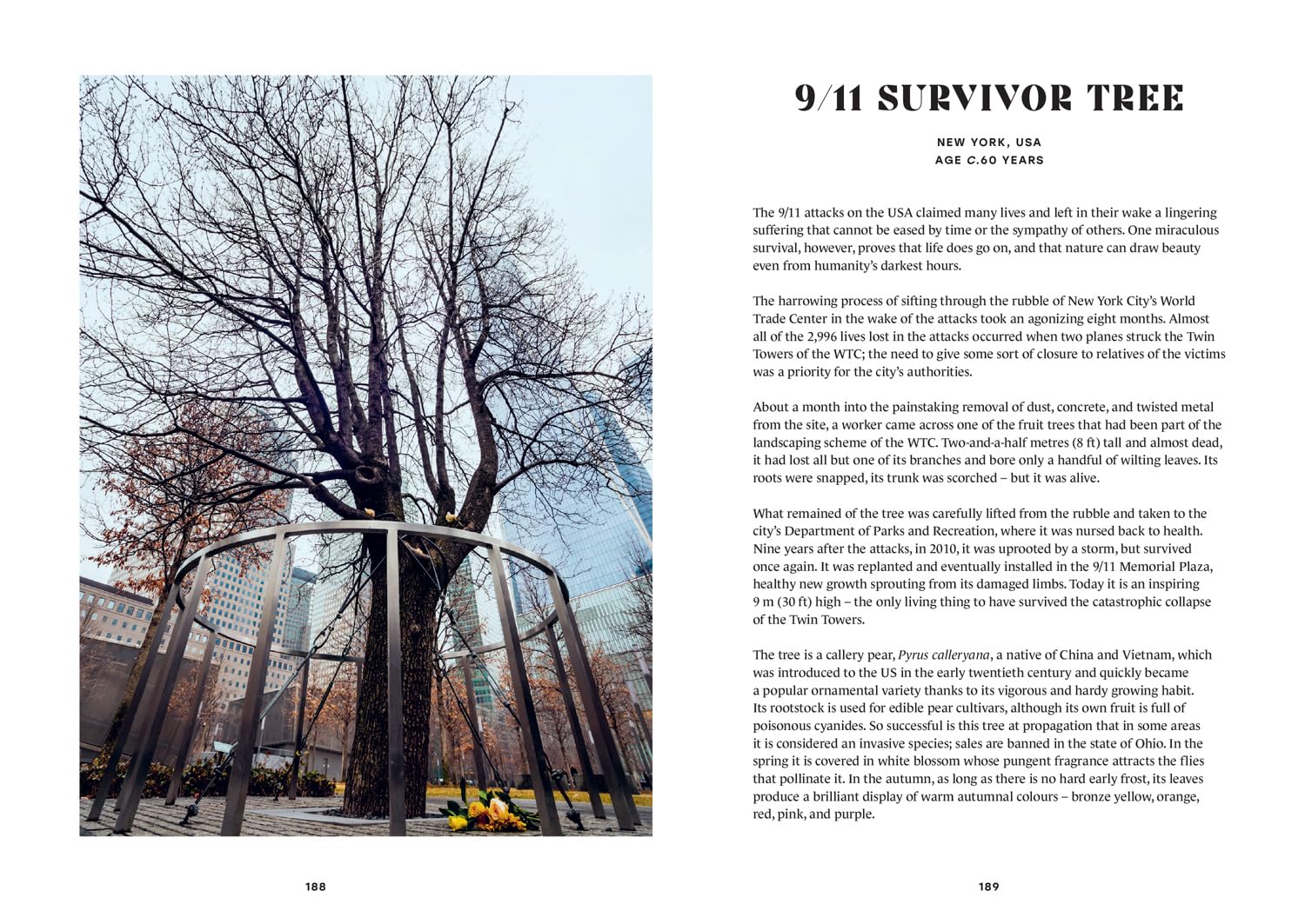 The History Trees