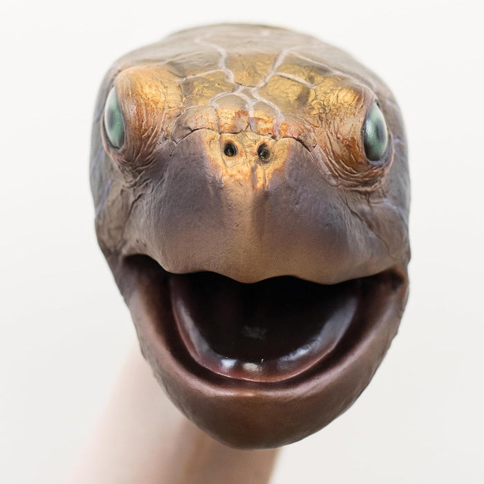 Wild Thingz Hand Puppet - Sea Turtle