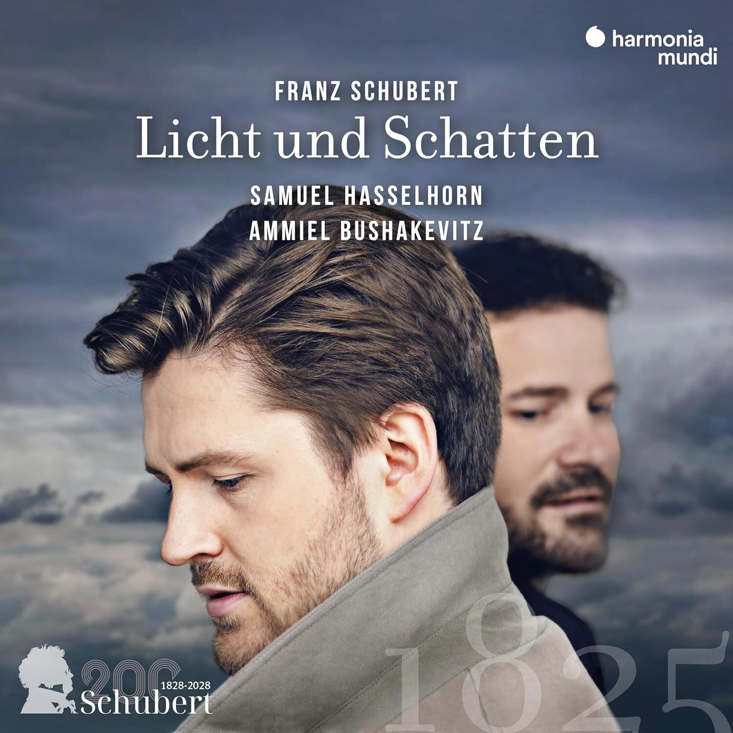Franz Schubert: Licht Und Schatten