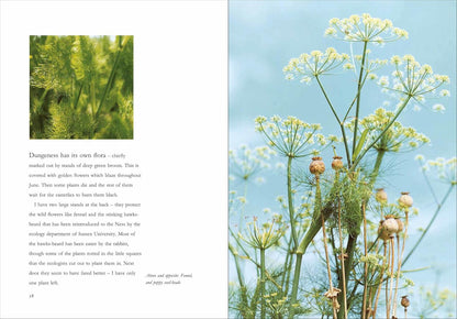 Derek Jarman's Garden