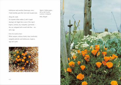 Derek Jarman's Garden