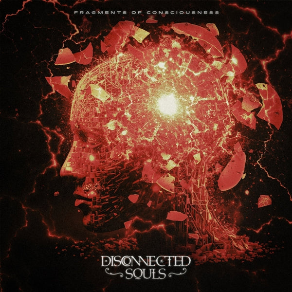 Fragments Of Consciousness