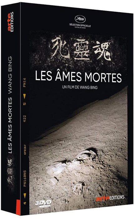 Coffret les âmes mortes, parties 1 à 3