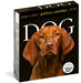 Dog Page-A-Day® Gallery Calendar 2026
