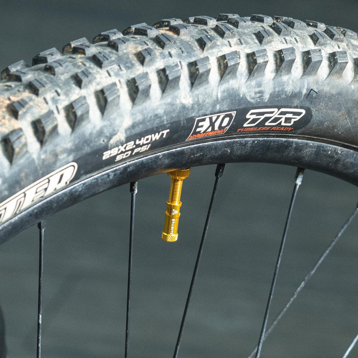 Granite Juicy Nipple Ventilkappen- und 44-mm-Farbabgestimmtes Presta-Ventilstangenset, Staubkappen für Fahrradreifen mit Ventileinsatzentfernungsfunktion (Violett