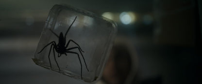 Spiders - Ihr Biss ist der Tod