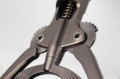 Campagnolo CTB-TN20 Corkscrew, Titanium