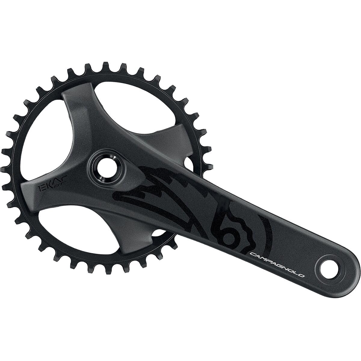 Campagnolo Ekar Gt Crankset Black, 170Mm, 36T
