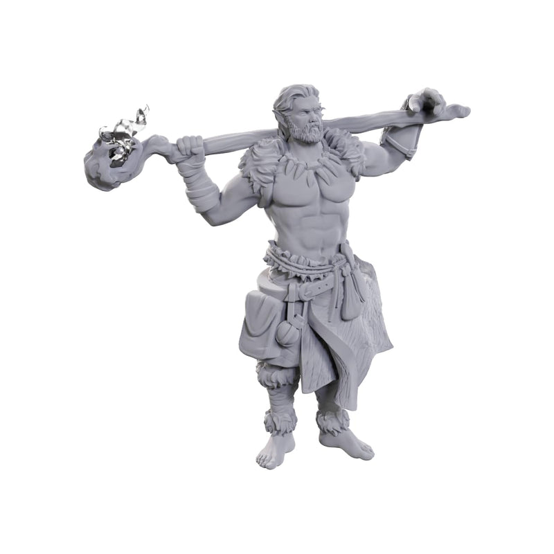 WizKids Dungeons & Dragons Nolzur's Marvelous Miniatures: Archdruid & Martial Arts Adept | Unpainted Miniatures | Wave 24