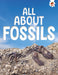 Earth's Detectives: All About Fossils