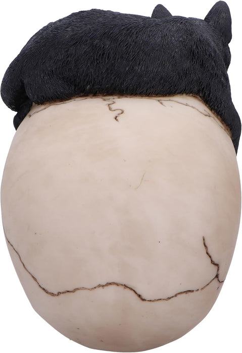 Nemesis Now Forever Friend Cat on Skull 14.5cm, Resin, Black/Bone, Cat Laying on Skull Ornament, Gothic Cat Décor, Cast in the Finest Resin, Expertly Hand-Painted