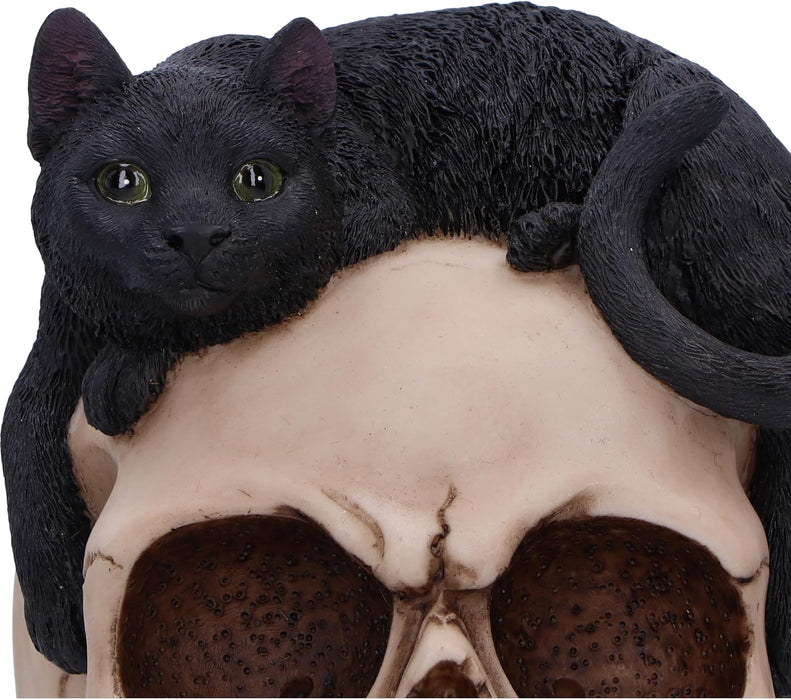 Nemesis Now Forever Friend Cat on Skull 14.5cm, Resin, Black/Bone, Cat Laying on Skull Ornament, Gothic Cat Décor, Cast in the Finest Resin, Expertly Hand-Painted