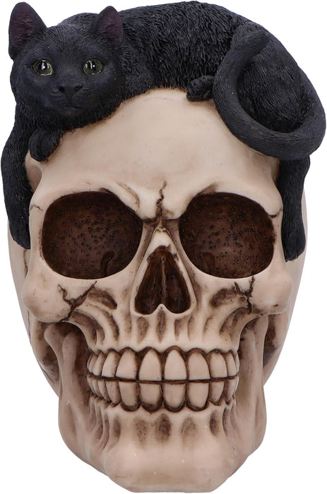 Nemesis Now Forever Friend Cat on Skull 14.5cm, Resin, Black/Bone, Cat Laying on Skull Ornament, Gothic Cat Décor, Cast in the Finest Resin, Expertly Hand-Painted