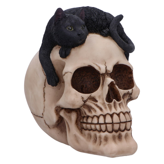 Nemesis Now Forever Friend Cat on Skull 14.5cm, Resin, Black/Bone, Cat Laying on Skull Ornament, Gothic Cat Décor, Cast in the Finest Resin, Expertly Hand-Painted