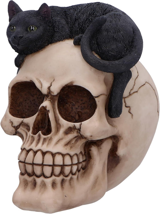Nemesis Now Forever Friend Cat on Skull 14.5cm, Resin, Black/Bone, Cat Laying on Skull Ornament, Gothic Cat Décor, Cast in the Finest Resin, Expertly Hand-Painted