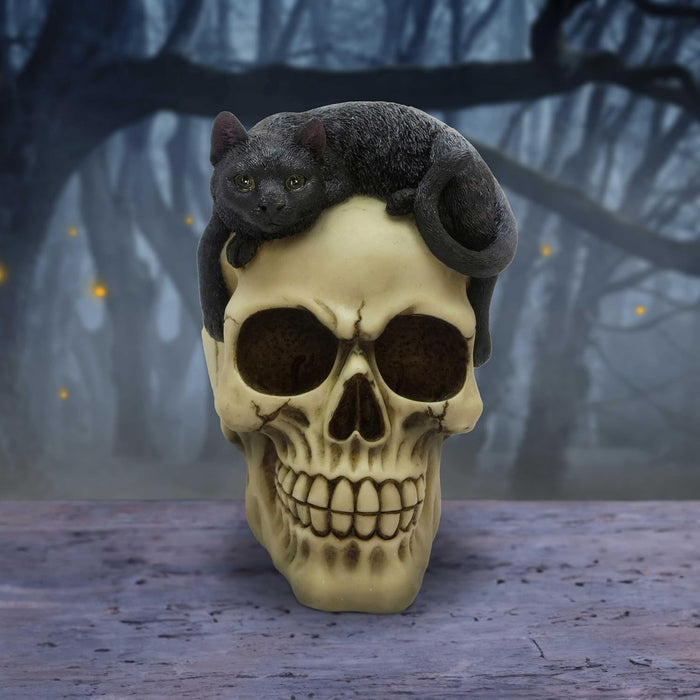 Nemesis Now Forever Friend Cat on Skull 14.5cm, Resin, Black/Bone, Cat Laying on Skull Ornament, Gothic Cat Décor, Cast in the Finest Resin, Expertly Hand-Painted