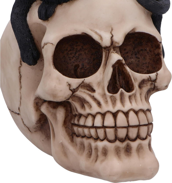 Nemesis Now Forever Friend Cat on Skull 14.5cm, Resin, Black/Bone, Cat Laying on Skull Ornament, Gothic Cat Décor, Cast in the Finest Resin, Expertly Hand-Painted