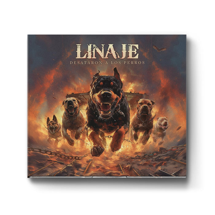 DESATARON A LOS PERROS