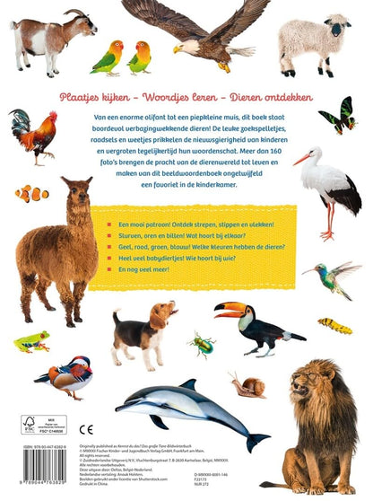 Mijn eerste grote dierenkijkboek