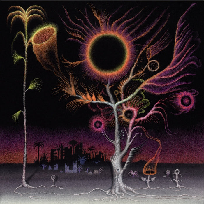 Flowers Are Blooming in Antarctica