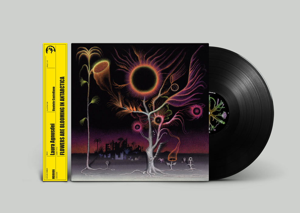 Flowers Are Blooming in Antarctica