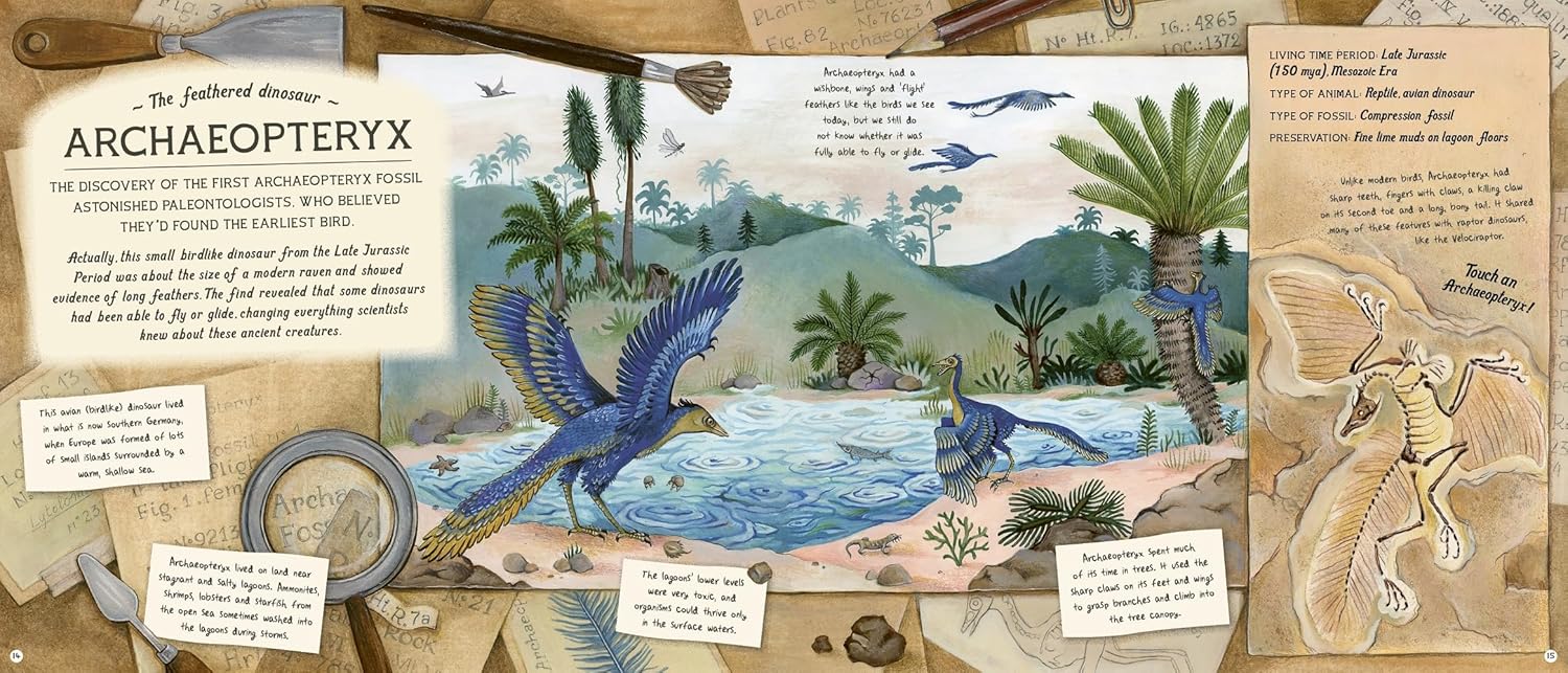 The Fossil Keeper's Treasure