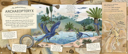 The Fossil Keeper's Treasure