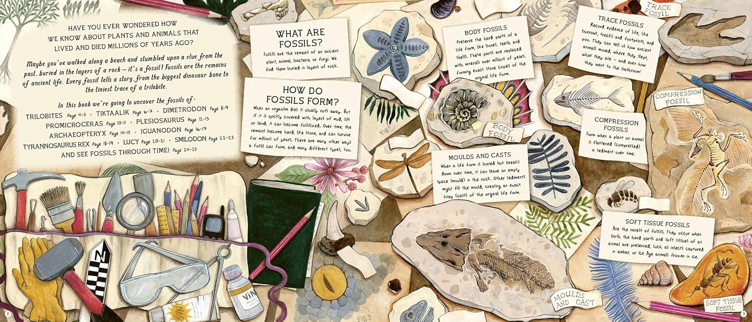 The Fossil Keeper's Treasure