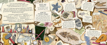 The Fossil Keeper's Treasure