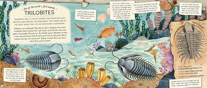 The Fossil Keeper's Treasure