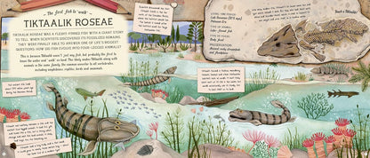 The Fossil Keeper's Treasure
