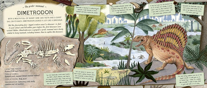 The Fossil Keeper's Treasure
