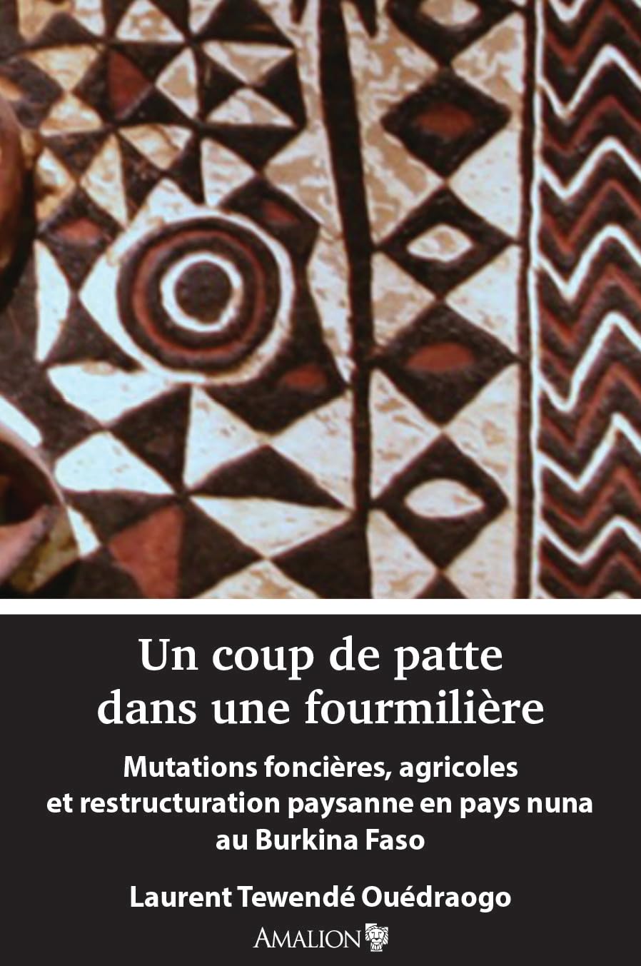 Un coup de patte dans une fourmilière: Mutations foncières, agricoles et restructuration paysanne en pays nuna au Burkina Faso
