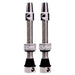 CushCore Tubeless Valves 55mm Silver