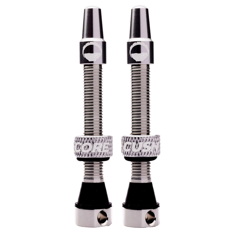 CushCore Tubeless Valves 55mm Silver