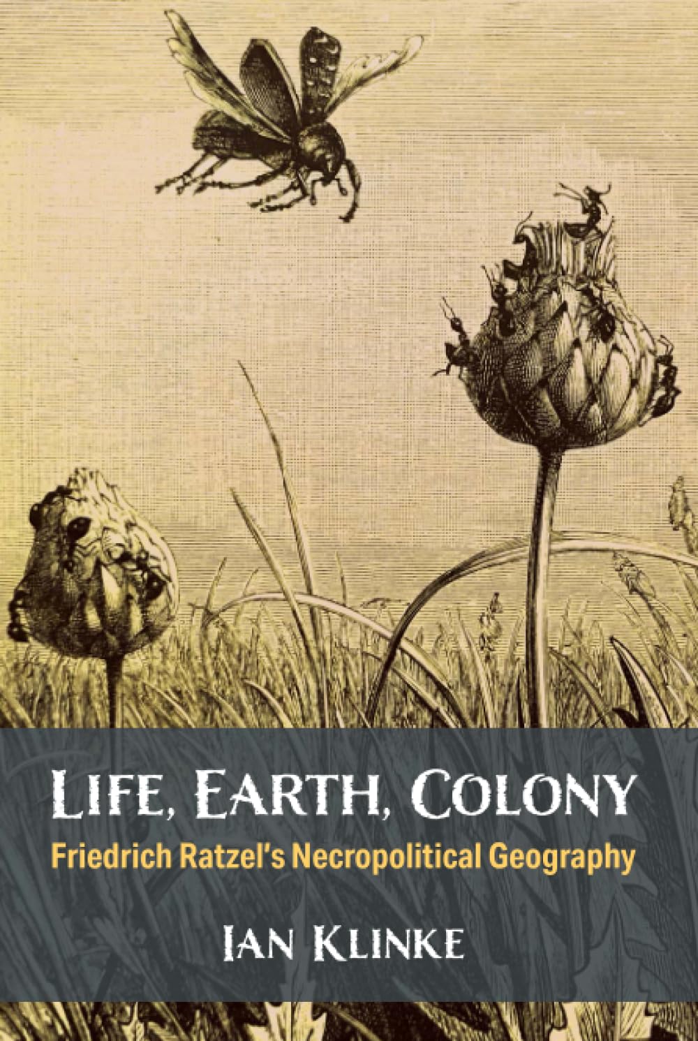 Life, Earth, Colony: Friedrich Ratzel's Necropolitical Geography (Social History, Popular Culture, And Politics In Germany)