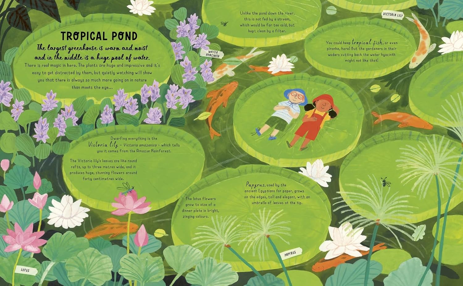 How to Grow a Garden