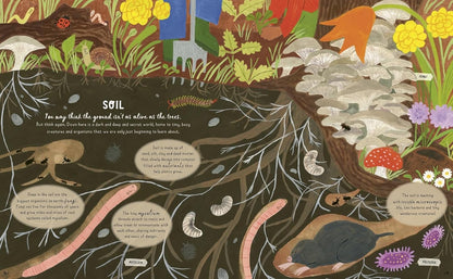 How to Grow a Garden