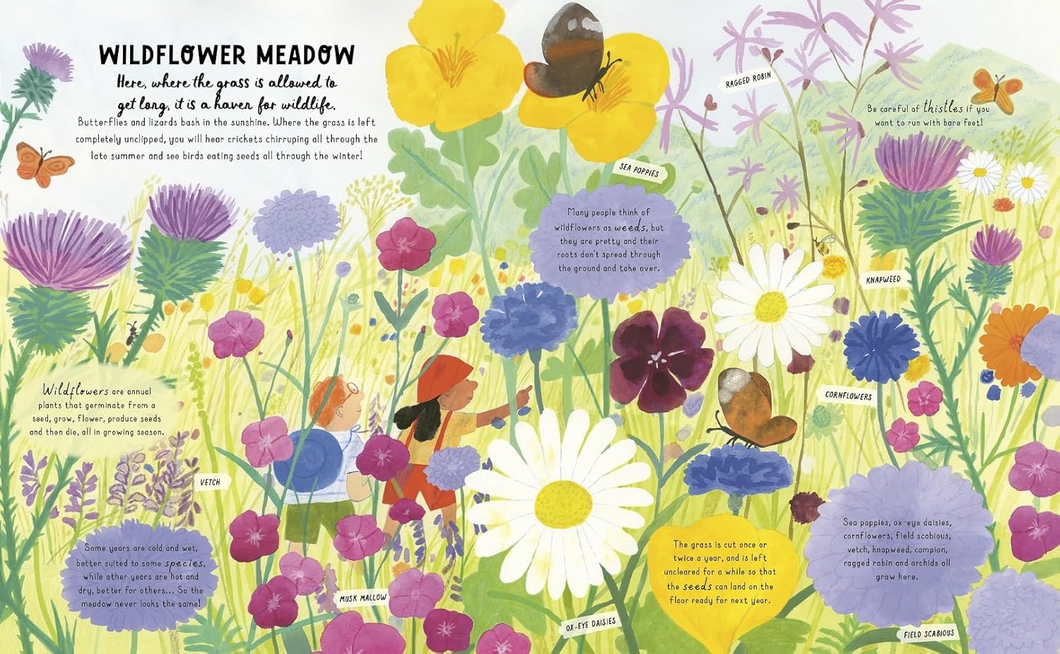 How to Grow a Garden